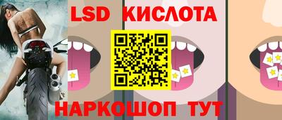 PSILOCYBIN Кандалакша
