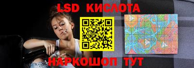 PSILOCYBIN Кандалакша