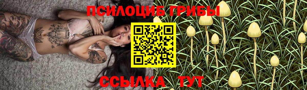 купить закладку  Псилоцибиновые грибы MAGIC MUSHROOMS  Вход с VPN  Галлюциногенные грибы MAGIC MUSHROOMS  Красноярск 